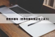世界杯那年（世界杯那年我正在上高三）