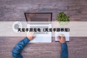 天龙手游龙龟（天龙手游养龙）