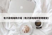 电子游戏场所介绍（电子游戏场所管理规定）