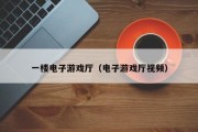 一楼电子游戏厅（电子游戏厅视频）