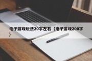 电子游戏玩法20字左右（电子游戏200字）