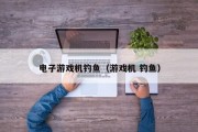 电子游戏机钓鱼（游戏机 钓鱼）