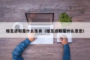 相互进取是什么生肖（相互进取是什么意思）