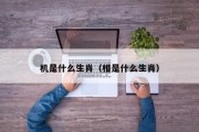 机是什么生肖（相是什么生肖）