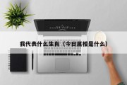 我代表什么生肖（今日属相是什么）