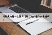 红红火火是什么生肖（红红火火是什么生肖啊）