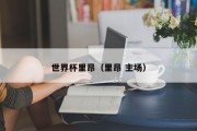 世界杯里昂（里昂 主场）